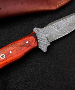 fixed blade skinner knife