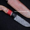 Survival Hunting Camping Knife