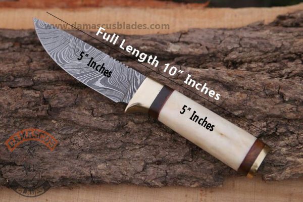 10" Inches Fixed Blade Hunting Knife