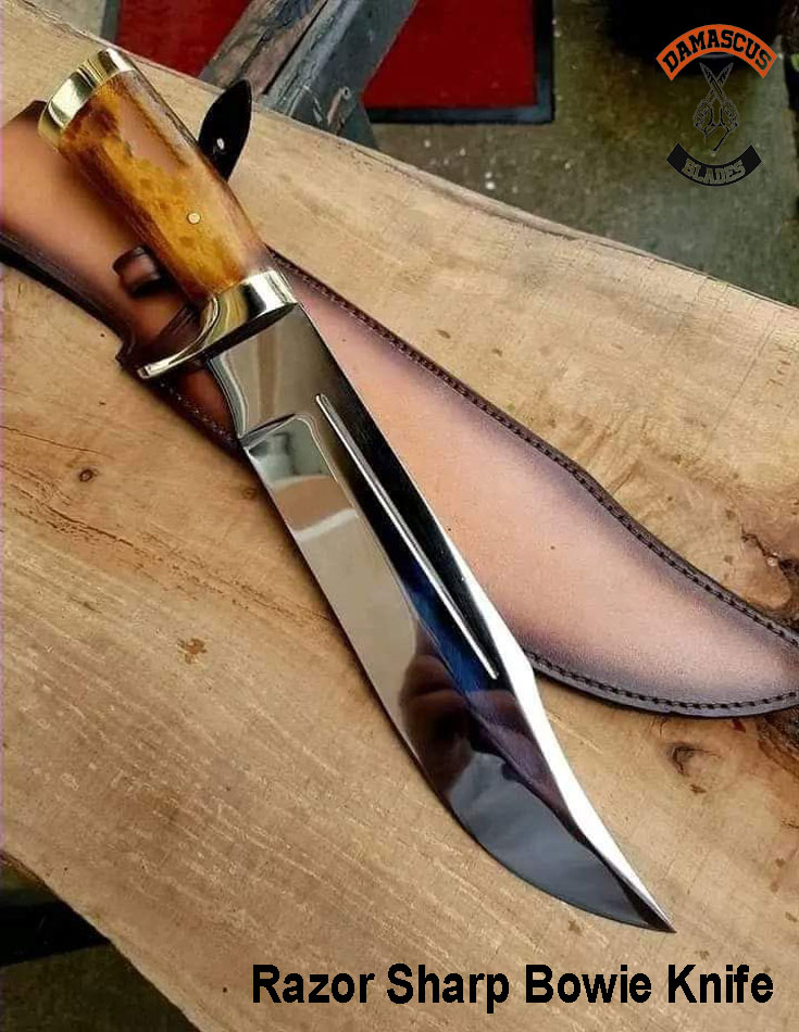 https://damascusblades.com/wp-content/uploads/2023/09/Razor-sharp-bowie-knife.jpg